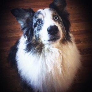 Meet your Posher, Christine